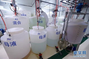 探訪(fǎng)中科三安植物工廠(chǎng) 機(jī)械設(shè)備的先進(jìn)科技之旅